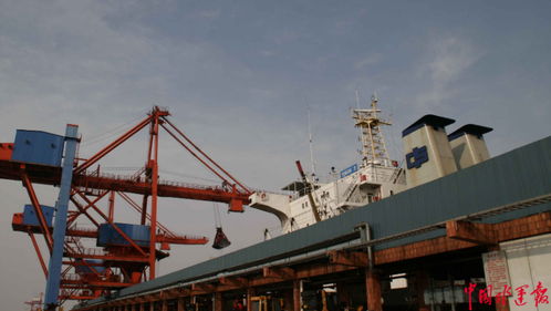 招商港口華南散雜貨營運中心揭牌成立，專業化保潔服務助力高效運營